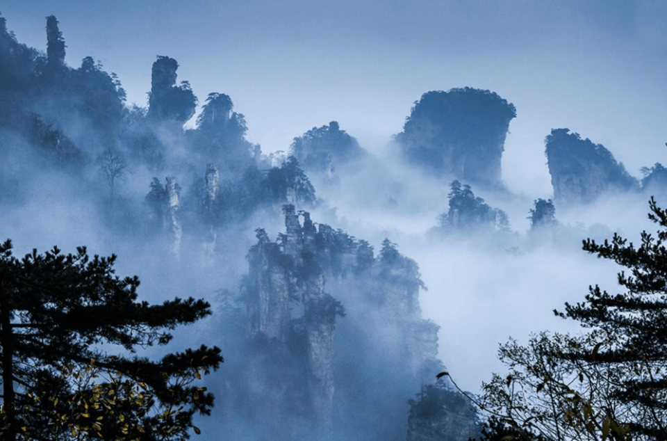 历史上的双萃之旅，探寻自然美景与内心宁静的交汇点（11月19日）