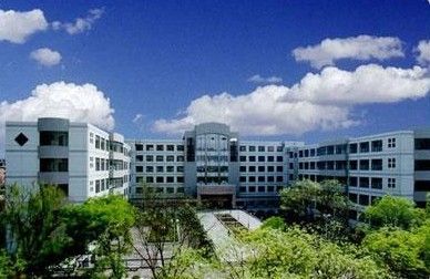 往年11月19日大学窗口转让信息详解，获取与处理指南