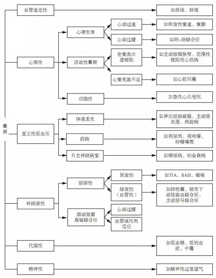 张柏芝最新恋情揭秘，特色小店背后的神秘小巷探秘之旅