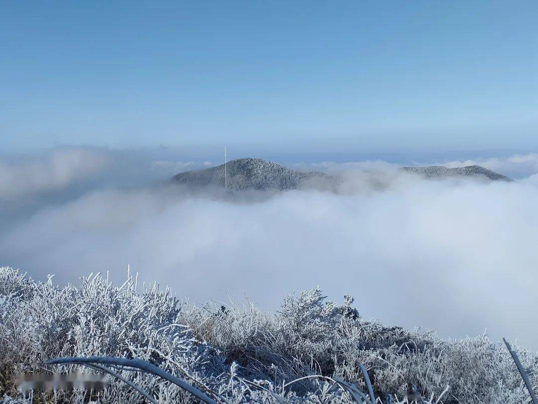 11月华孚最新消息，11月华孚之旅，探寻自然美景，重拾心灵宁静