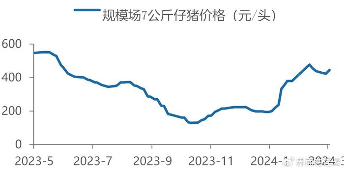 深度解析，预测2024年11月22日猪价上涨趋势及市场热门趋势综合评测