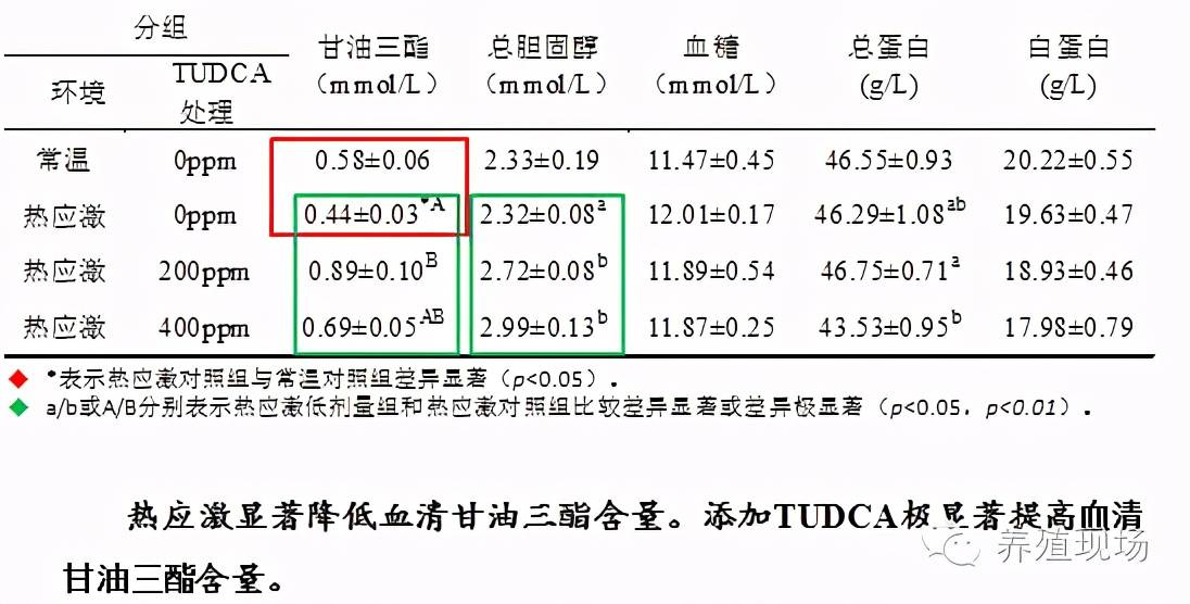 往年11月25日丛林法则下的热门现象，深度解析与探讨