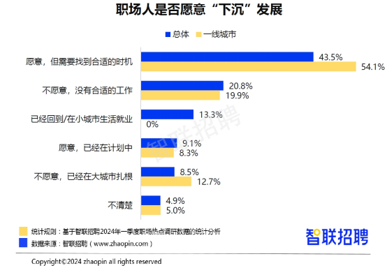 洪濑西市场热门招聘，未来科技引领智能生活革新之旅