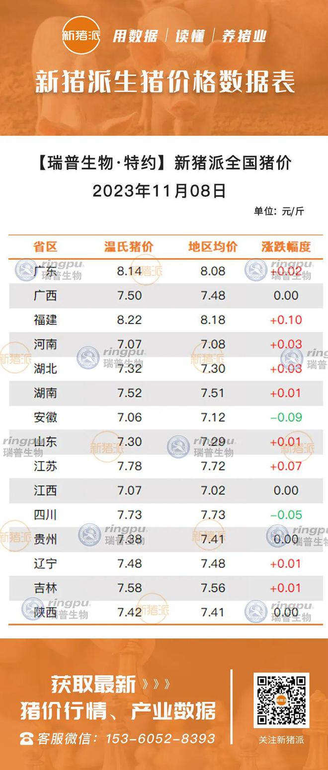 往年11月25日福建信息热门招聘详解与全面测评