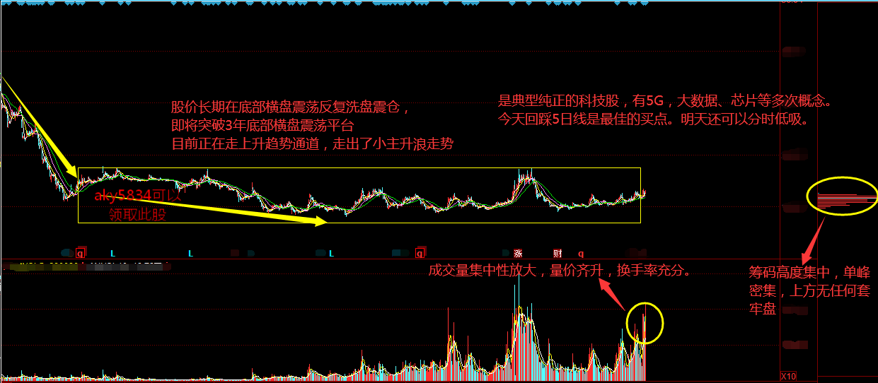 晶盛机电股票最新动态与小巷特色小店揭秘，十一月市场观察与揭秘