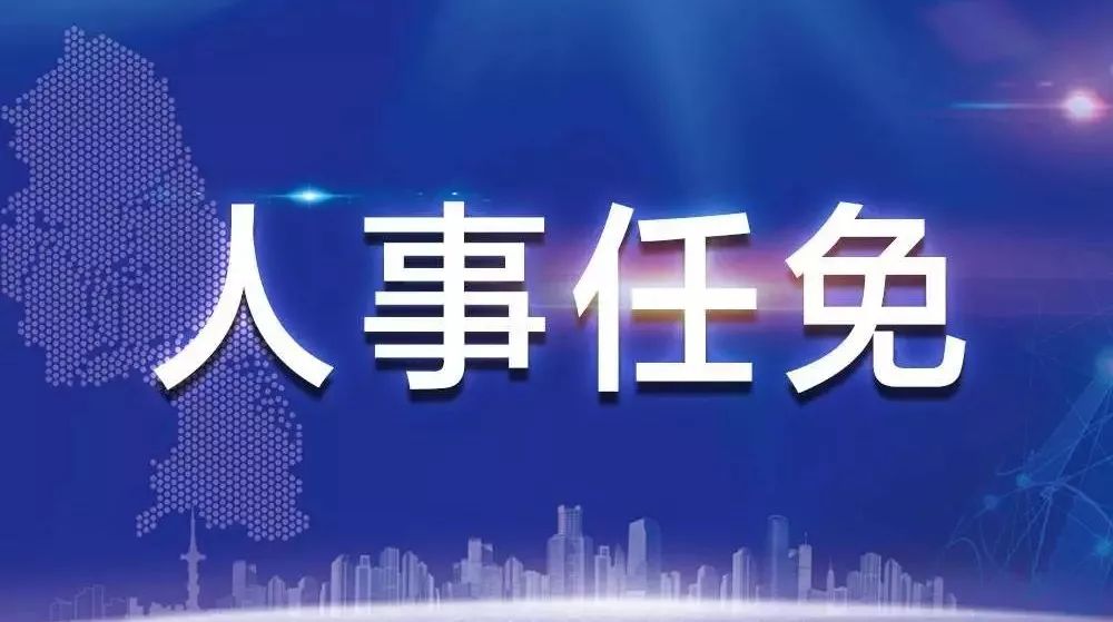 11月28日石棉县干部任免最新动态及任免流程详解