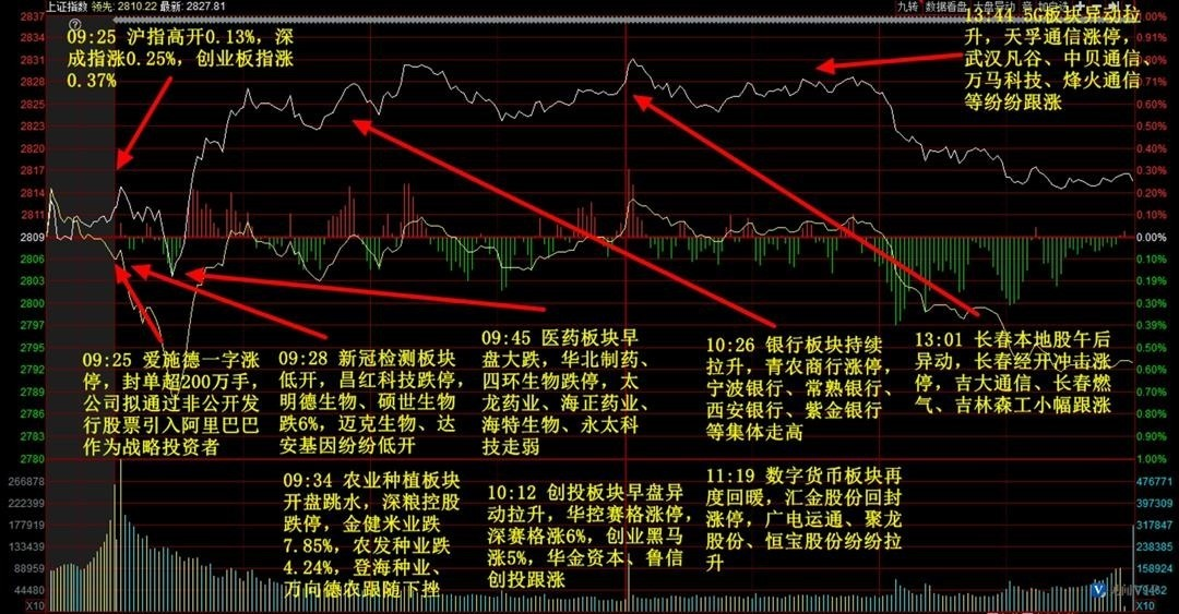 揭秘新海宜股票背后的故事与小巷深处的特色小店之旅