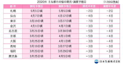 往年11月28日热门活动与利弊解析，参与指南与深度探讨