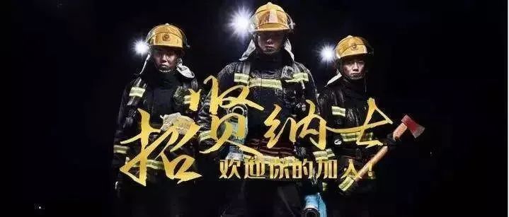 太仓浏河招聘动态，历史上的11月30日招聘信息概览及最新动态