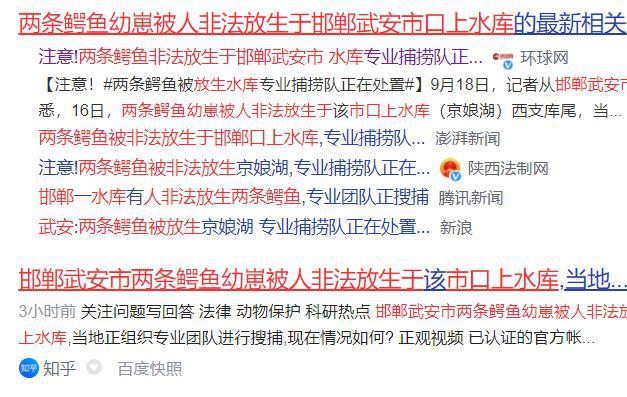 历史上的12月1日微宏动力最新消息，全面解读与掌握信息的步骤指南