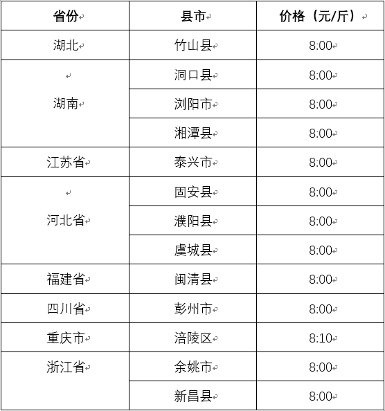 12月热门猪价走势深度解析，多方观点碰撞与个人立场探讨