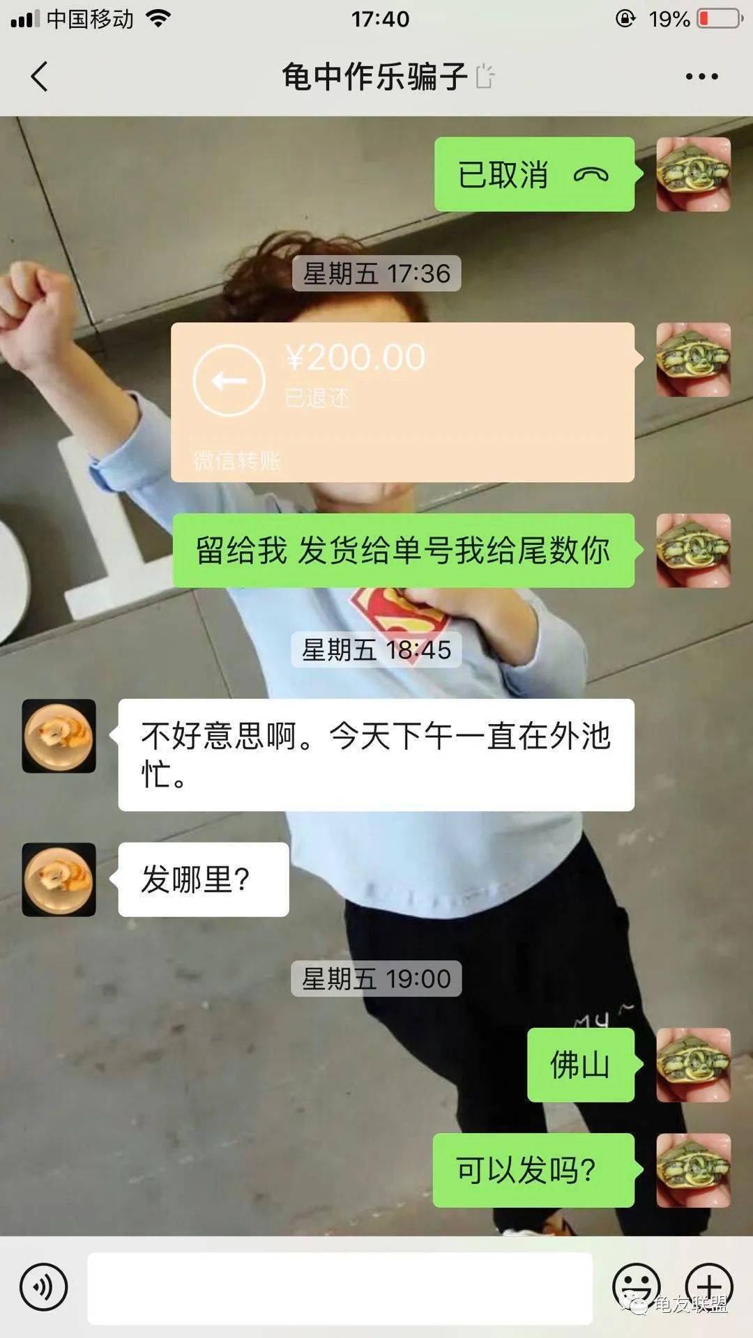 揭秘，最新龟友网动态与龟价波动背后的故事（十二月四日更新）