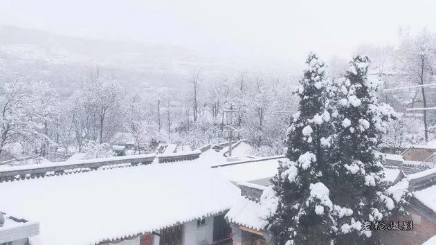 文登北郊大雪日，雪中美食秘境的探索与实时情况揭秘