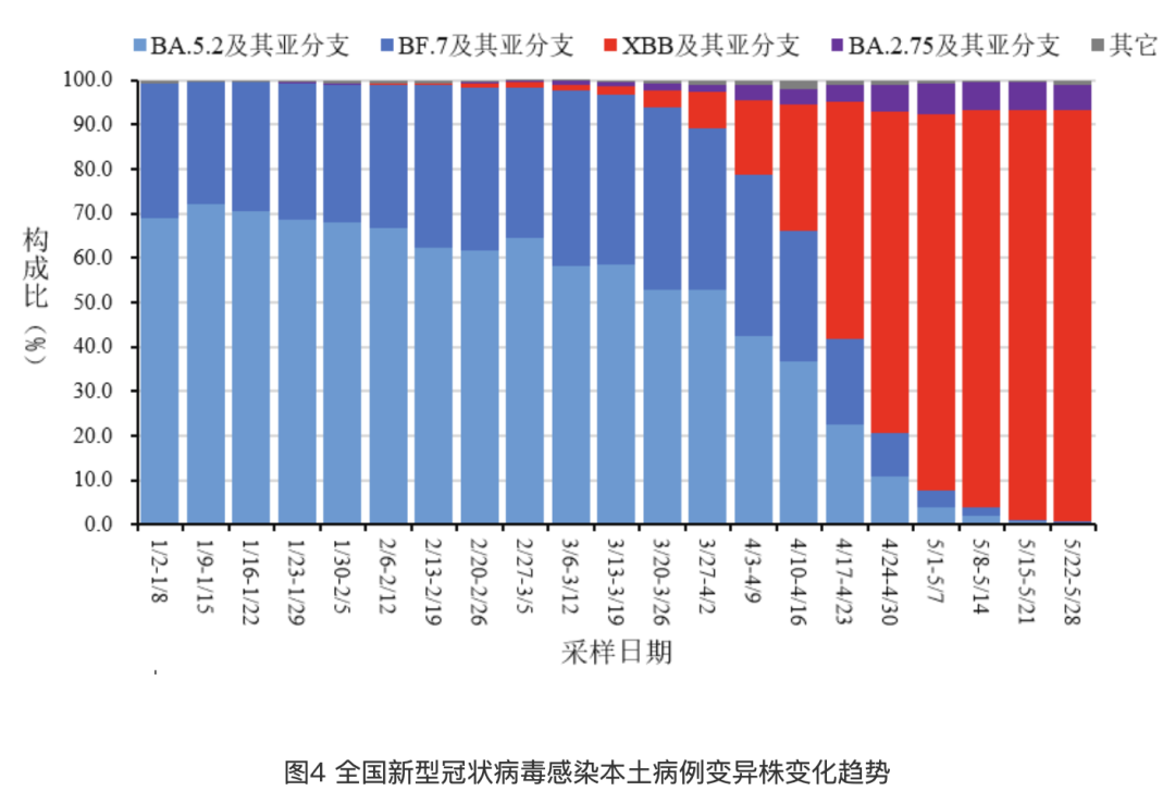 往年12月13日番禺疫情实时数据多维度分析，观点碰撞与个人立场探讨