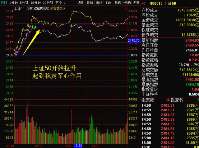 揭秘，2024年12月13日股票大涨背后的驱动力与原因深度解析