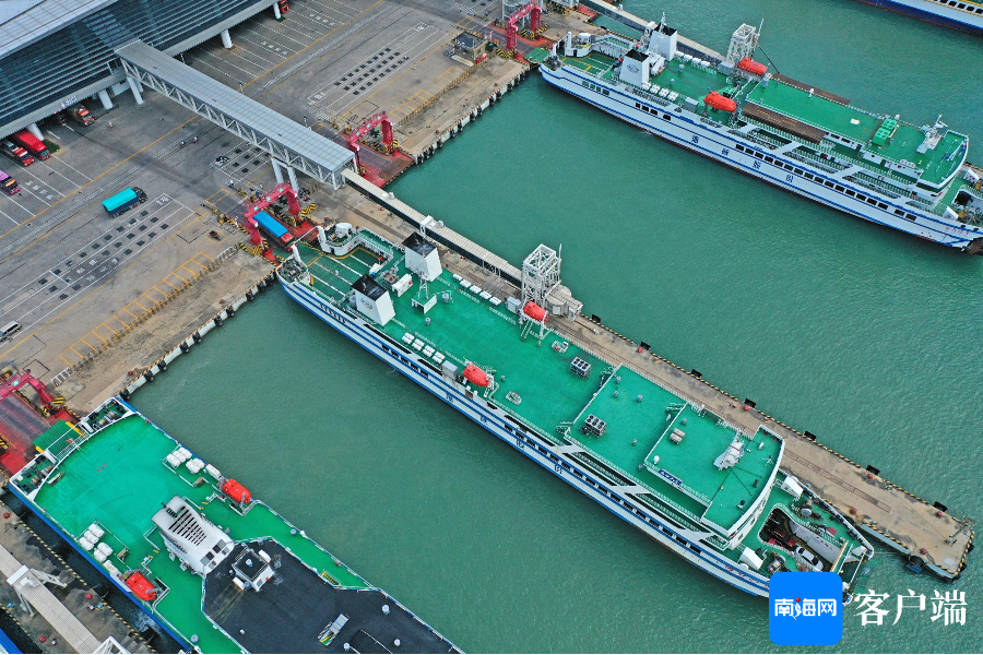 徐闻港南港繁忙景象直播揭秘，港口实况一网打尽（12月13日）