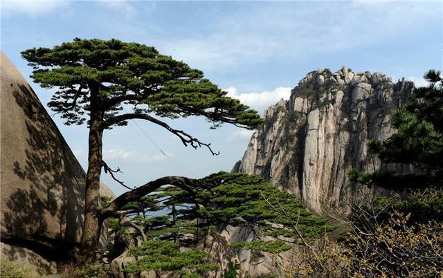 揭秘黄山景区历史与实时影像，12月22日的独特风情与小巷风情展示